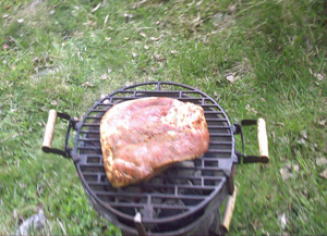 020Manfred grillt0klein 020Manfred grillt0klein