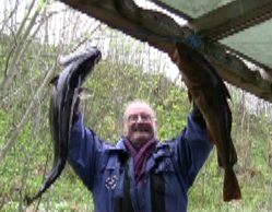 Dirks Fische