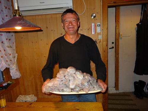 Fisch k
