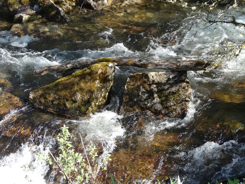 Fluss7 web Fluss7 web