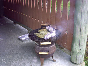 Grillen02