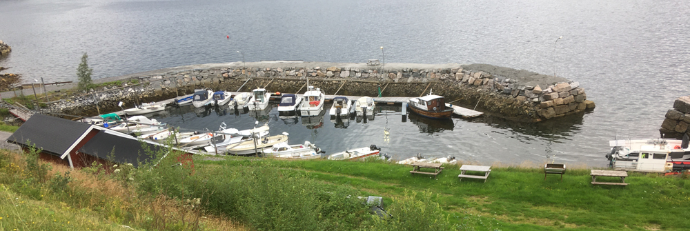 Harald Haven web Harald Haven web